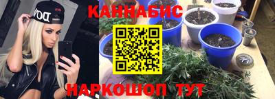PSILOCYBIN Камышлов