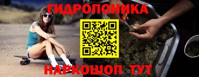 PSILOCYBIN Камышлов