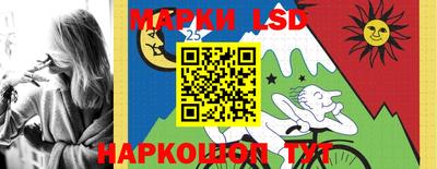 PSILOCYBIN Камышлов